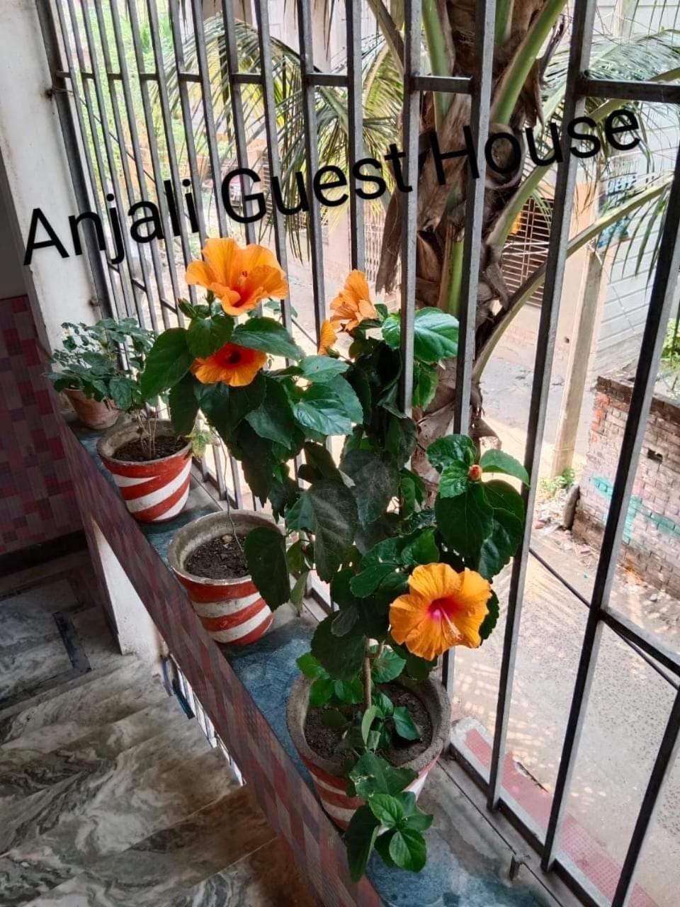 Anjali Guest House Дигха Екстериор снимка